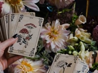 The Maiden is a botanical tarot deck, weaving together a new, botanical vision of the Tarot's Major Arcana with unique plant Oracle cards. Each of these 68 floral tarot cards were illustrated by hand with care, complete with poetic guiding words and thoughtful meanings steeped in classical interpretations and greek mythology.