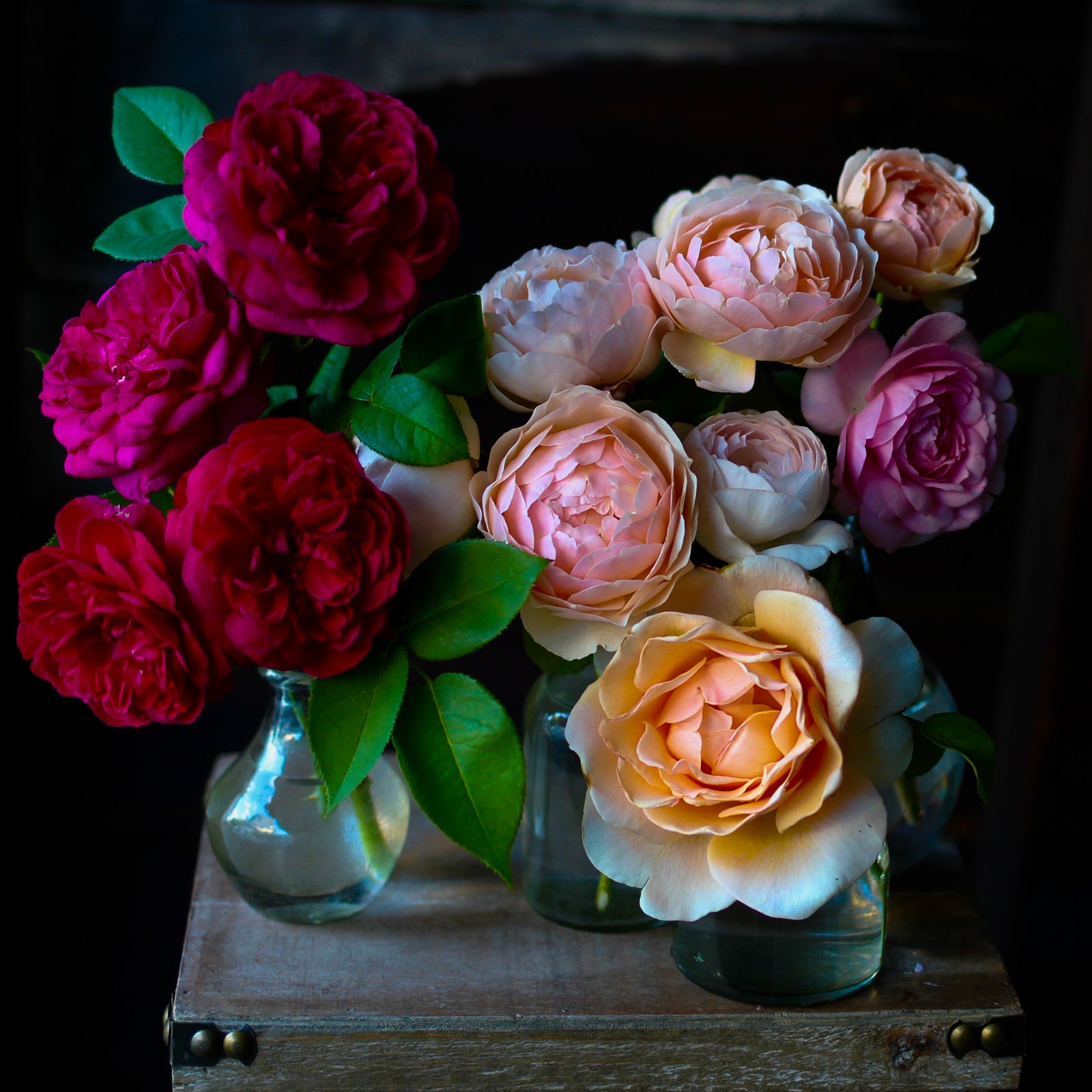 Tattoo Ticket - Leila + Olive