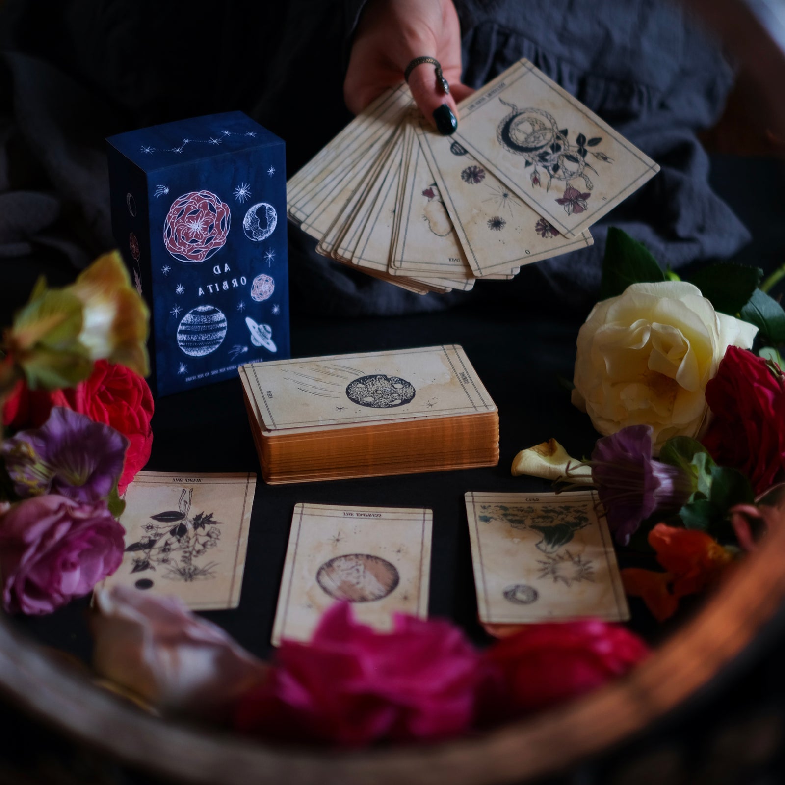 Ad Orbita Tarot Botanical Plants and Planets 