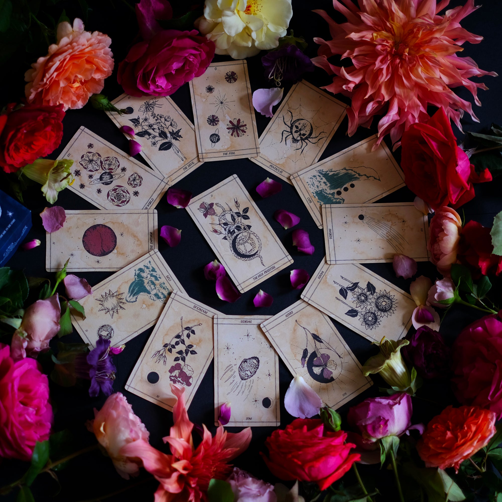 Ad Orbita is a botanical and astrology tarot deck, illustrarted by hand and independently made.