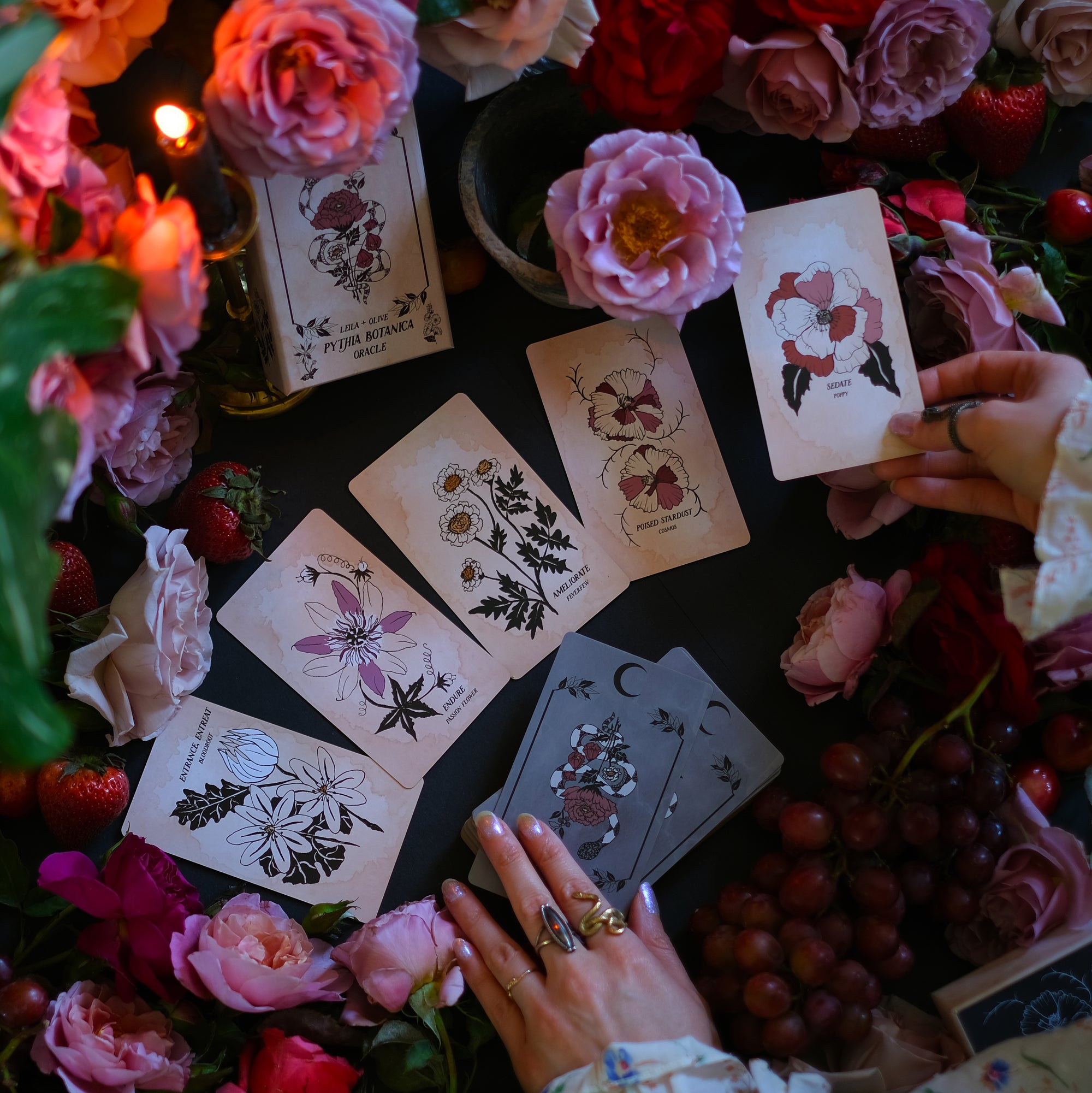 The Botanical Oracle deck, hand-illustrated cards and guidebook, rooted in the plant kingdom. 