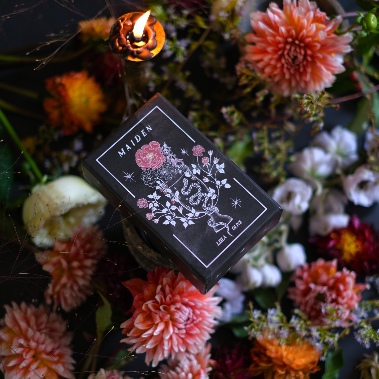 Maiden is a plant tarot deck, weaving together a botanical vision of the Tarot's Major Arcana. 