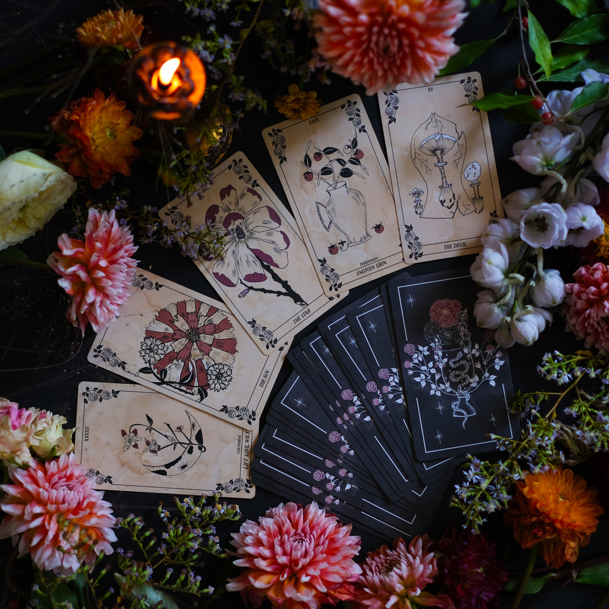 The Botanical Oracle deck, Maiden, illustrated by hand, rooted in botanicals, with guidebook.