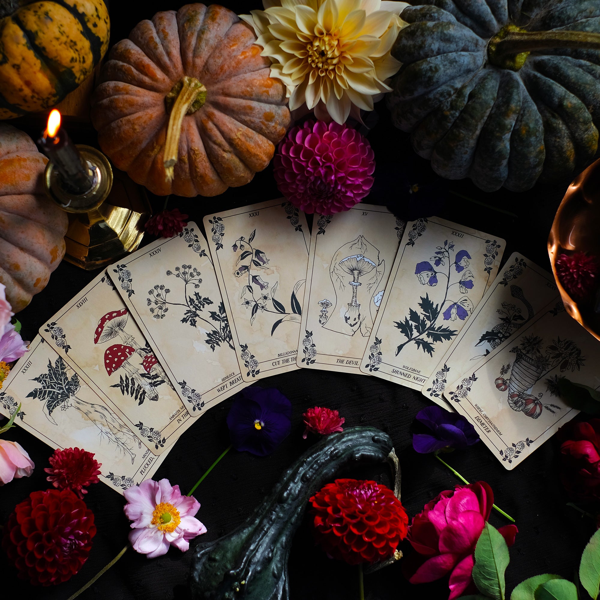 Botanical tarot deck connecting a botanical vision of the Tarot's Major Arcana with plant cards.