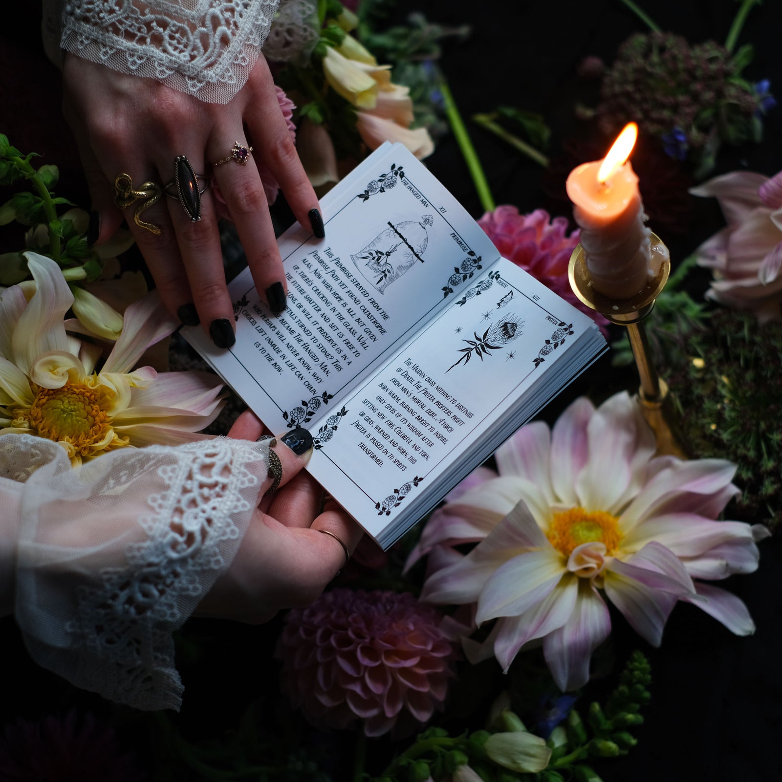 Botanical tarot deck connecting a botanical vision of the Tarot's Major Arcana with plant cards.