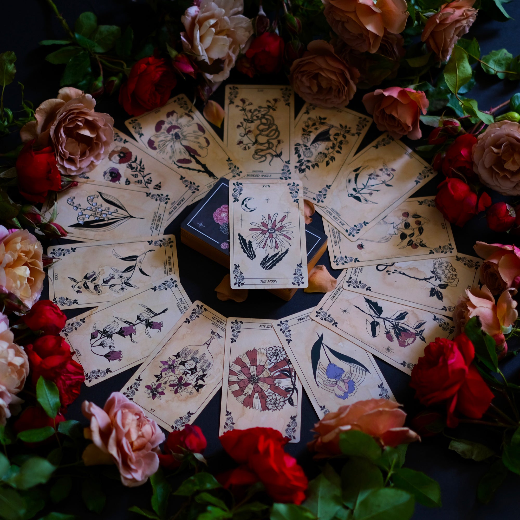 The Botanical Oracle deck, Maiden, illustrated by hand, rooted in botanicals, with guidebook.