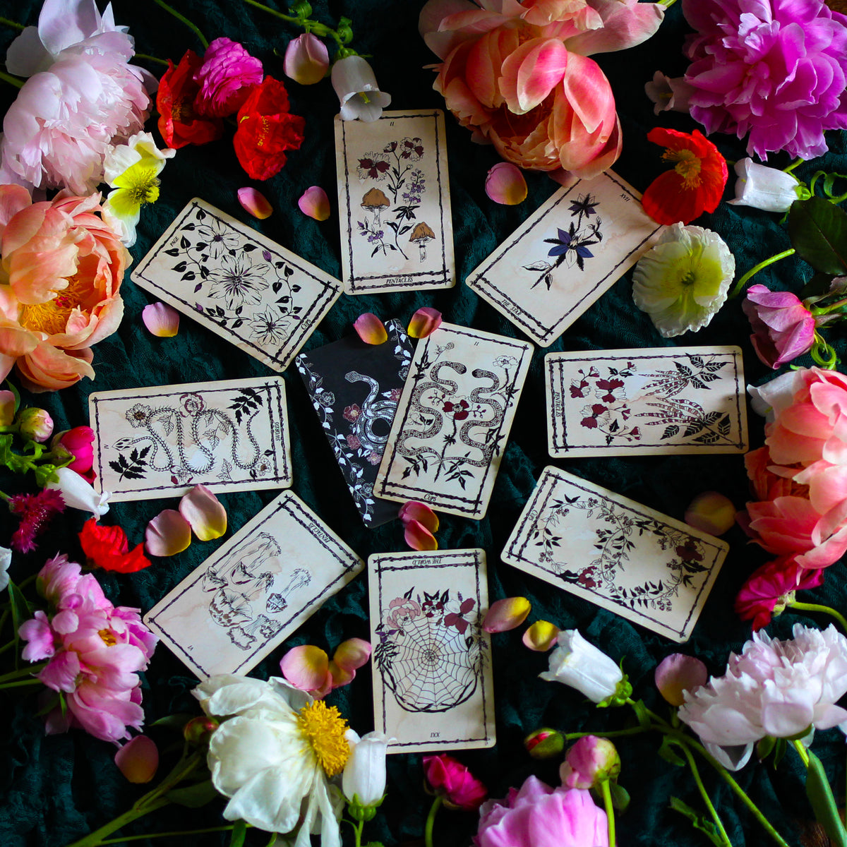 Ophidia Rosa Botanical Tarot Deck 