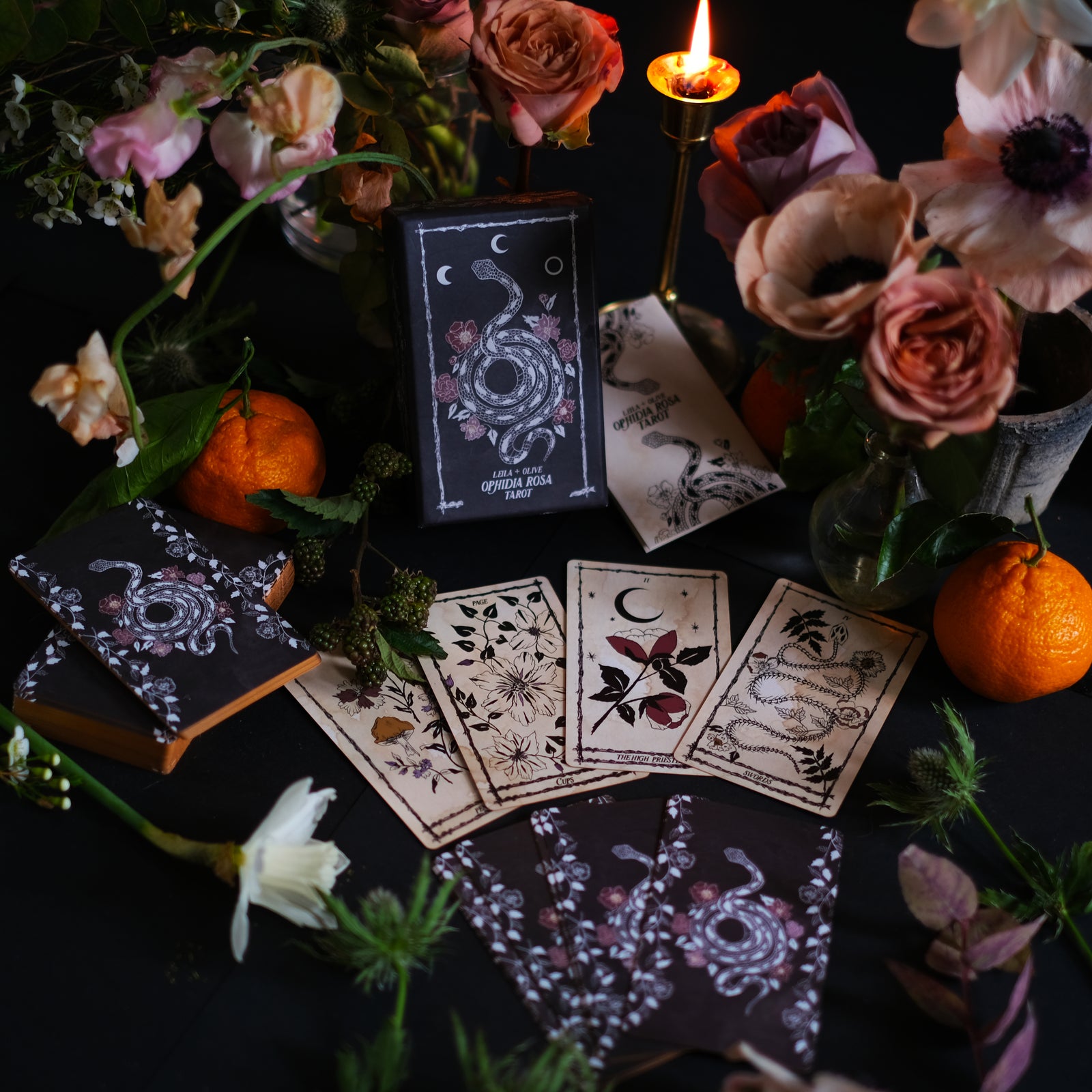 Ophidia Rosa Botanical Tarot Deck 