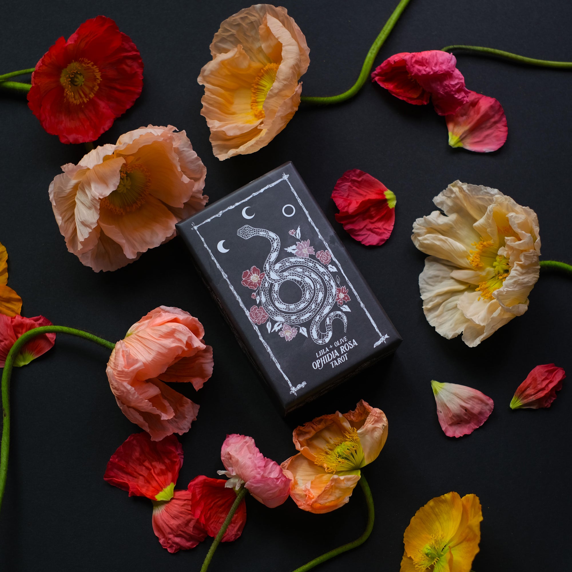 Botanical Tarot deck, the Ophidia Rosa, is illustrated by hand and rooted in the plant kingdom.