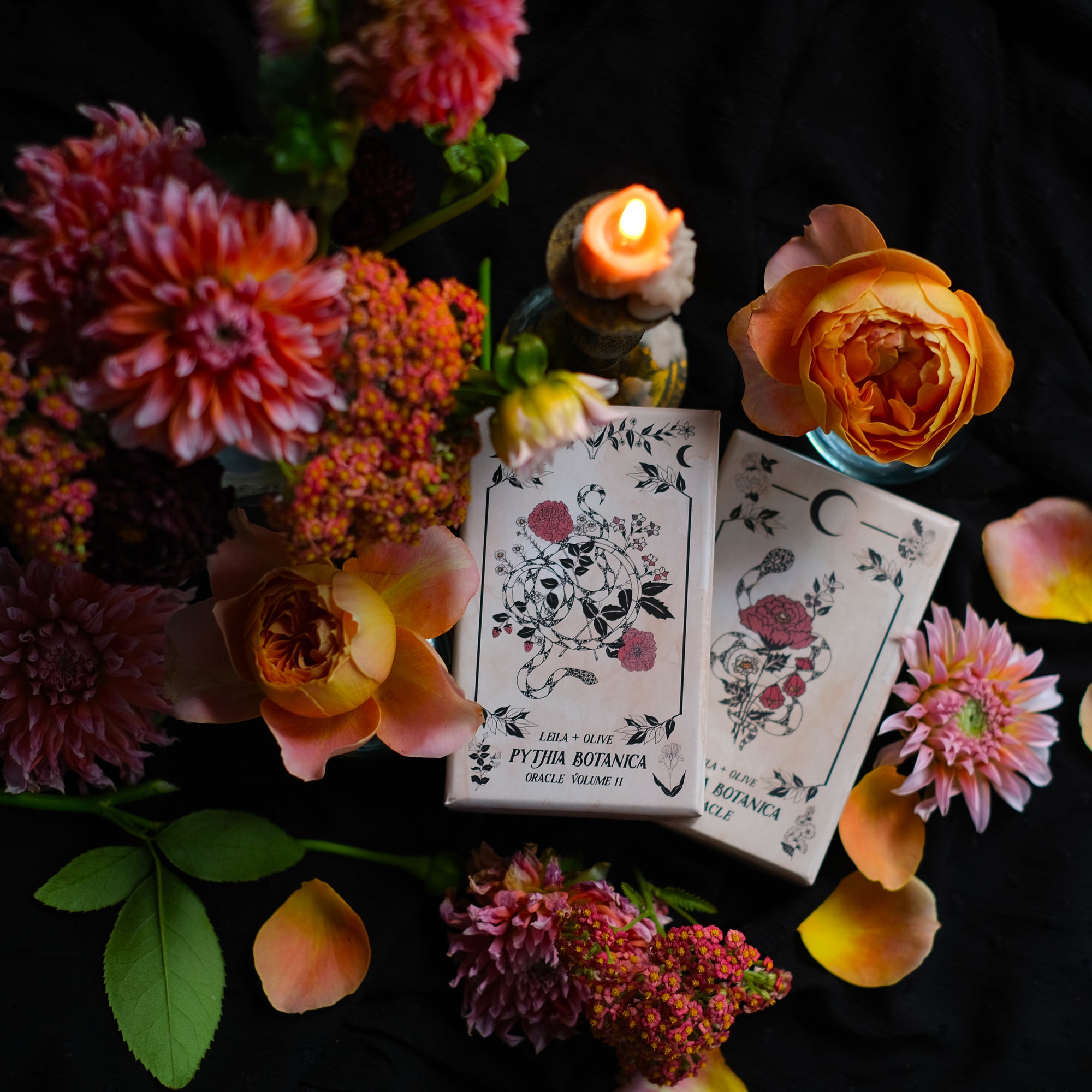 Botanical Oracle deck, Pythia Botanica, holds 48 hand-illustrated cards and thoughtful guidebook. 
