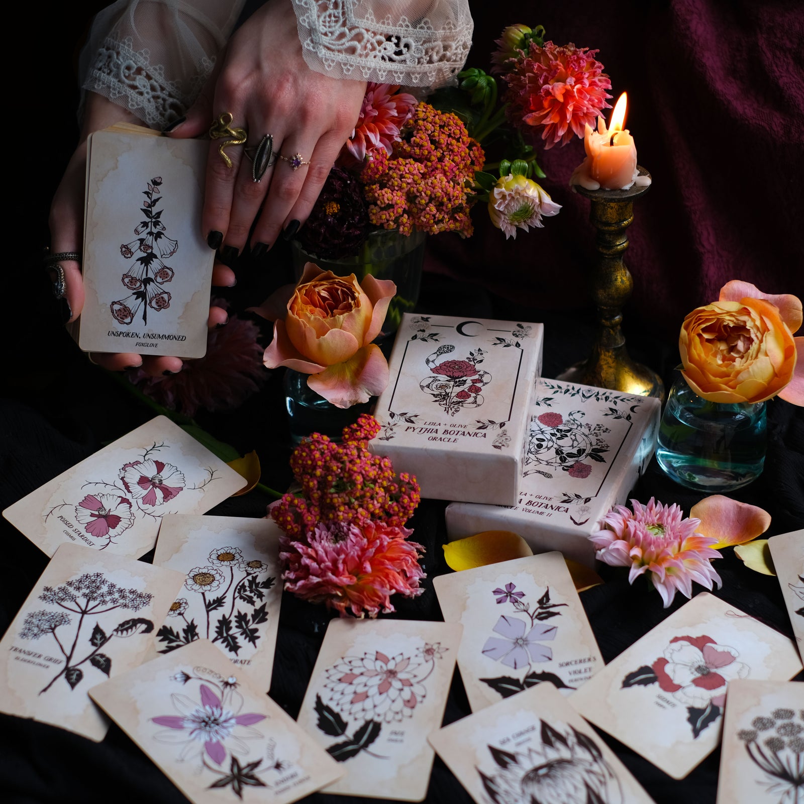 Botanical oracle deck rooted in mythology and infused with plant magic, Pythia Botanica Oracle. 
