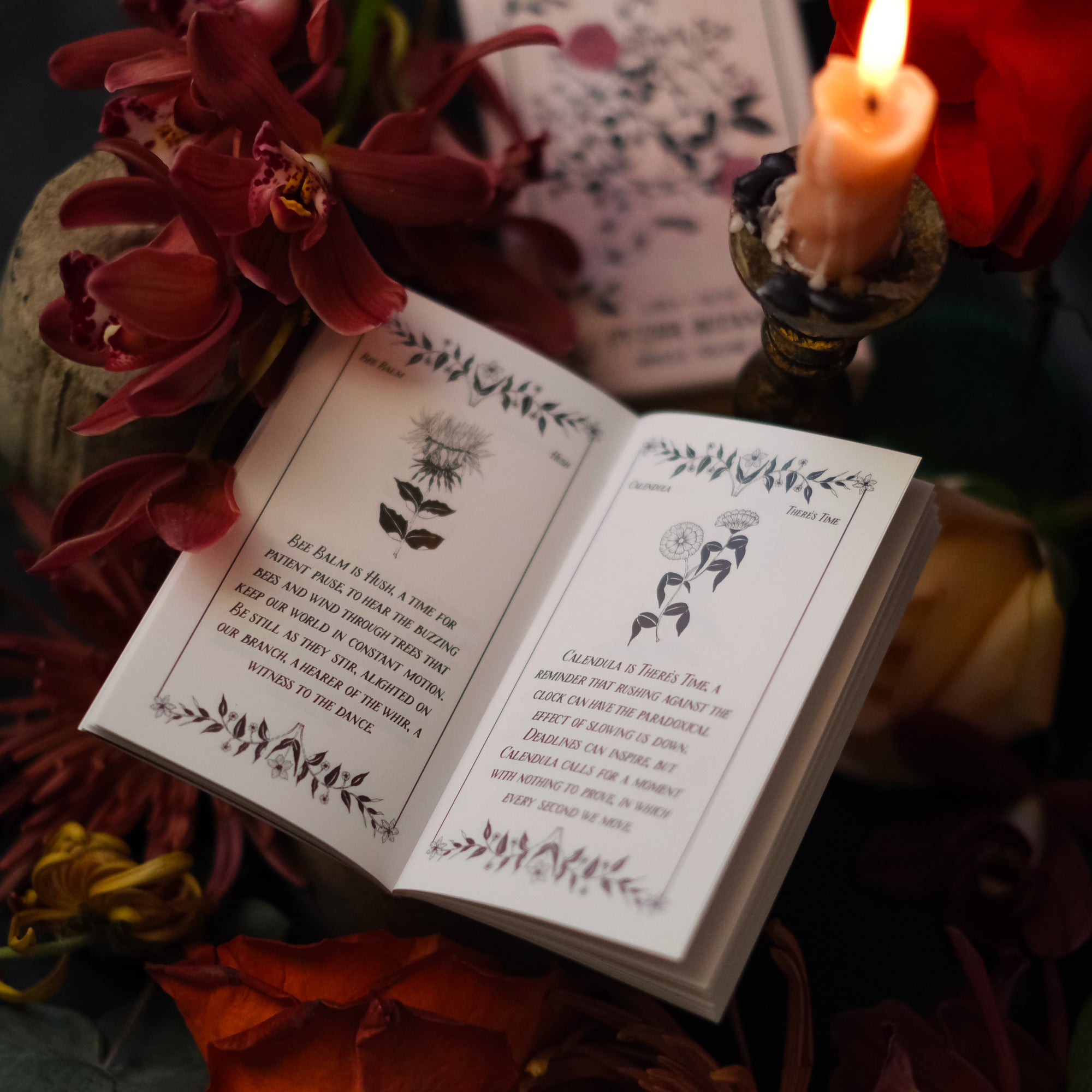 Pythia Botanica Oracle Volume II is illustrated by hand and rooted in plant magic, the natural world, and ancient mythology. Through 48 botanical oracle cards, we explore the plant world and all of the mystery, magic, wisdom and wonder it provides.