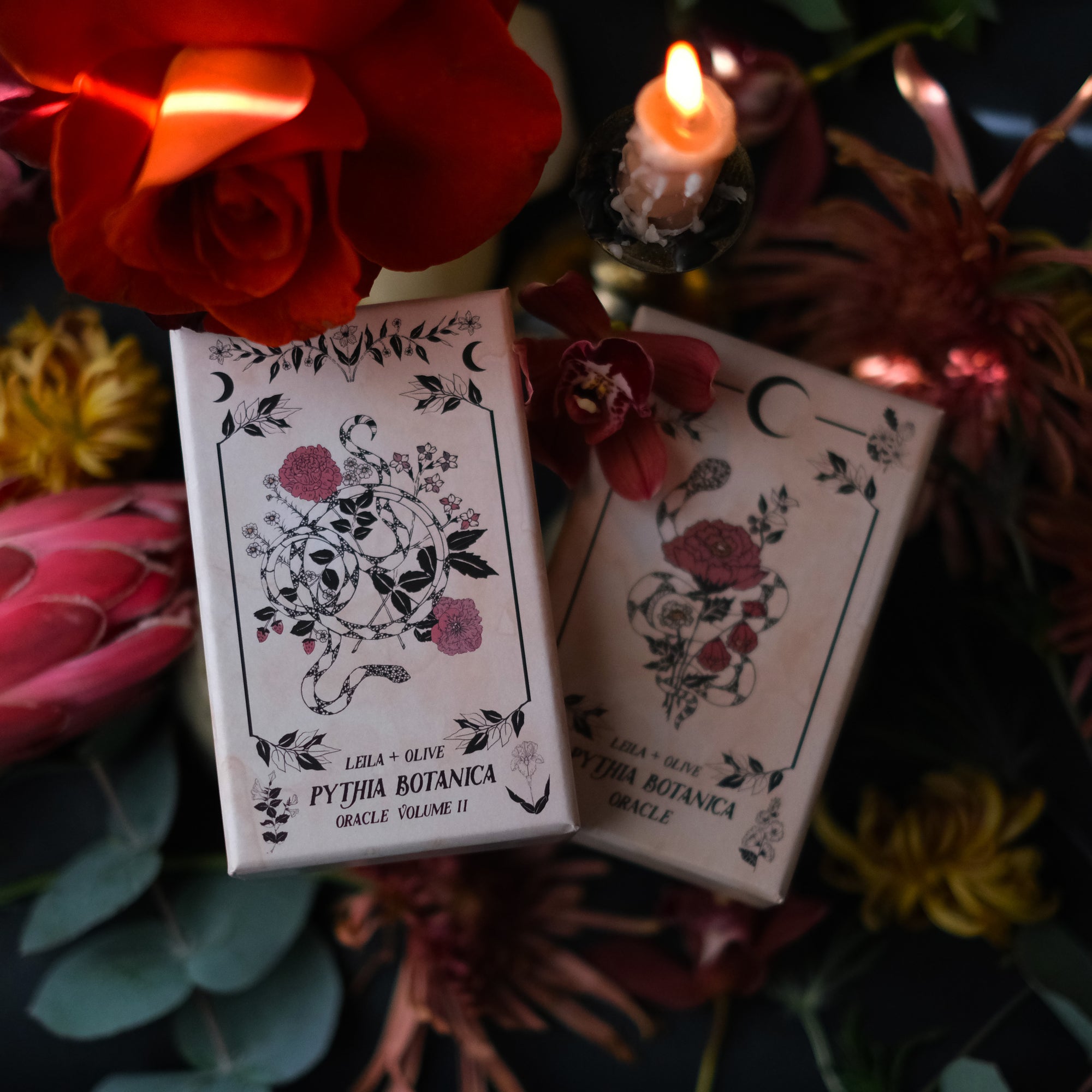 Pythia Botanica Tarot deck is illustrated by hand and rooted in plant magic, the natural world, and ancient mythology. Through 48 botanical oracle cards, we explore the plant world and all of the mystery, magic, wisdom and wonder it provides.