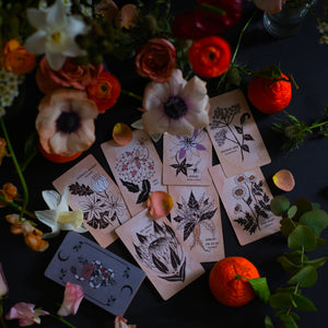 Illustrated by hand and rooted in plant magic, meet the Pythia Botanica Tarot deck.